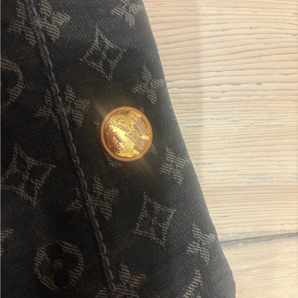 Louis Vuitton Daily Denim Hobo Bag